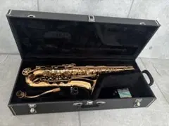 2025年最新】スプレンダー サックスの人気アイテム - メルカリ