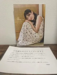 【ヒデ】河田陽菜 写真集 テイクオフ アザーカットミニブック 日向坂46 日向坂46 河田陽菜 2nd写真集「テイクオフ」 アザーカットミニフォト