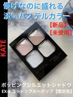 ケイト　ポッピングシルエットシャドウ　EX-4 コットンブルーポップ　新品未使用