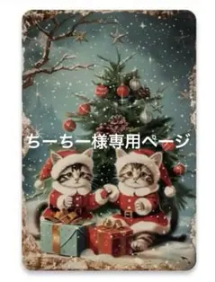 ちーちー(プロフィール必ずお読み下さい)様 リクエスト 2点 まとめ商品