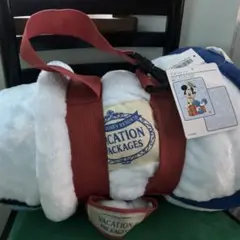 Disney Vacation Packages ブランケットです