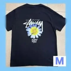 Stussy ブラック 半袖Tシャツ Ｍ