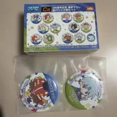 セガラッキーくじ ソニック ぷよぷよ C賞 缶バッジ エッグマン シェゾ