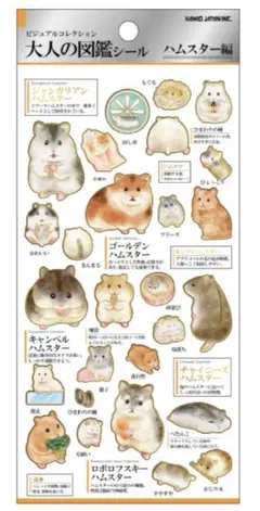 popo‪様 リクエスト 2点 まとめ商品