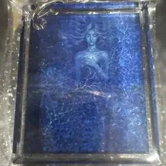 工藤静香2025クリスマスディナーショーキーホルダー