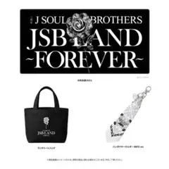三代目JSB　アプグレ プレミアムチケット　味の素スタジアム 入場特典　未開封 新品未使用 未開封 三代目JSBアプグレ 味の素スタジアム 入場特典