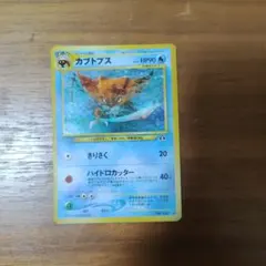 旧裏 カブトプス