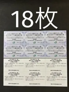18枚ガーラ湯沢スキー場リフト優待割引券メルカリ便