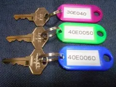 Item thumbnail for item c1306703-082f-4da7-8dcb-52835a270850