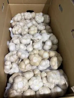 新物 令和8年度産 青森県産 福地ホワイト六片 にんにく L 玉 5kg