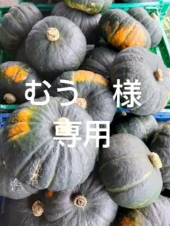 むう　様　専用