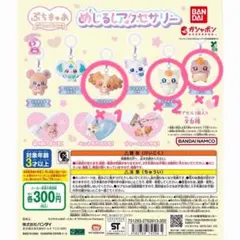 ぷちきゅあ　めじるしアクセサリー