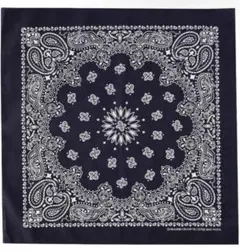 USA製 バンダナ HAV-A-HANK ペイズリー ネイビー 森洸大 セカオワ