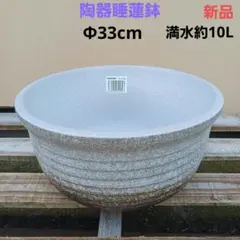 2026年最新】睡蓮鉢 ホワイトの人気アイテム - メルカリ