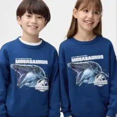 Pinksnowflakes様 リクエスト 2点 まとめ商品