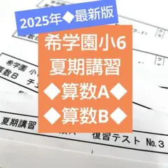 希学園 小6 公開テスト 算数 1年11回分 解答解説付 B4 - メルカリ
