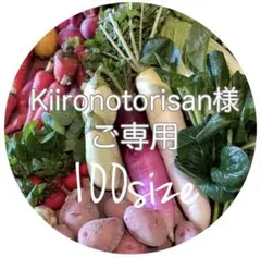 Kiironotorisan様ご専用