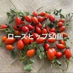 ローズヒップ＊鈴バラの実＊フレッシュ＊50個＊赤い実＊リース・スワッグ花材