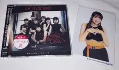 OCHA NORMA CD 斉藤 生写真
