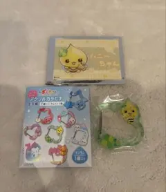 しずくちゃん　ハニーちゃん　カラビナ　アクリルカード