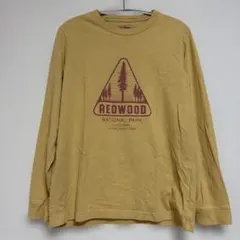 エルエルビーン カットソー Tシャツ クルーネック プリント 長袖 M 黄色のサムネイル
