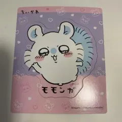 モモンガ マグネット
