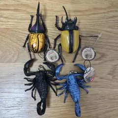 新品未使用 生物図鑑 リアルカブトクワガタ7 リアルサソリ4 まとめ売り