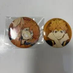 アニメキャラクター ピンバッジ 2個セット ハイキュー 日向翔陽