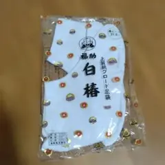 Item thumbnail for item 5c763671-ad34-496e-bbeb-d3c4d8eecb88