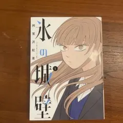 氷の城壁 1