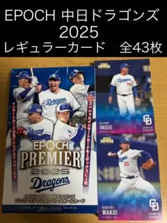 【全43種コンプ】レギュラーカード EPOCH PREMIERドラゴンズ
