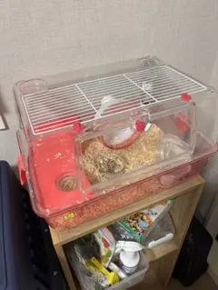 Item thumbnail for item e1657388-a698-4836-8632-96a7c9151a43