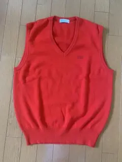 ARnOLD PRLmER L size メンズベスト