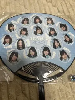AKB48 TEAM-B うちわ 西武ドーム 2011