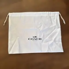 Item thumbnail for item 6c2eb429-6b13-4f57-b174-4342a4d13fa1