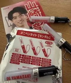 ウルフドッグス　ミニペンライト　3個