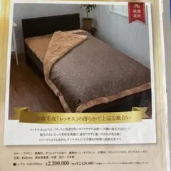 2025年最新】レッキ ブランケットの人気アイテム - メルカリ