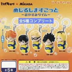 2026年最新】影山飛雄×日向翔陽の人気アイテム - メルカリ