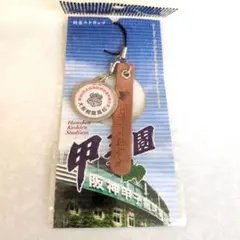 Item thumbnail for item ed1ac10d-01d9-490d-83e0-096df70dd225