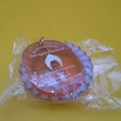 名探偵コナン 隻眼の残像 ロッカーキー風　上原由衣