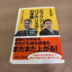 【美品】「エブリシング・バブル」リスクの深層 エミン・ユルマズ　永濱 利廣