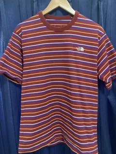 THE NORTH FACE ボーダー Tシャツ　赤　レッド
