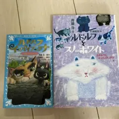 Item thumbnail for item c006e01a-082d-4e63-9eef-61ee52b8dbb6