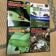 【希少】あげはのへんしん　へんしんおたまじゃくし　しぜんにタッチ！ 希少】あげはのへんしん へんしんおたまじゃくし しぜんにタッチ