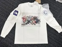 The North Face アンタークティカ 国旗　ノースフェイス　南極