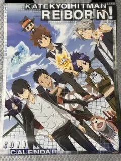 家庭教師ヒットマンREBORN! 2011年　カレンダー　リボーン　新品