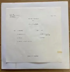 激レア‼︎ JITTERIN'JINN エヴリデイ 見本盤 ジッタリンジン 名曲 激レア‼︎ JITTERIN'JINN エヴリデイ 見本盤 ジッタリンジン 名曲