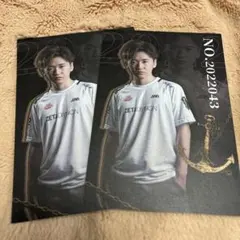 ZETA_alf 2022 秋季 IJL ポストカード 2枚セット