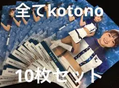 10枚セット　kotono　2024年ver