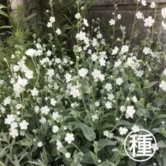 まりすけプロフ必読様 リクエスト 3点 まとめ商品